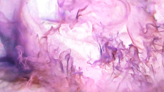 Sample 40