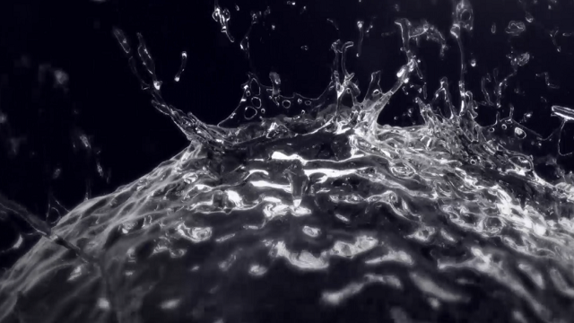 Water – D Design Company